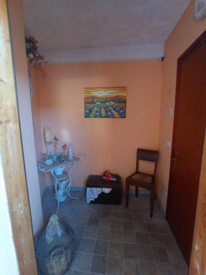 Bed and Breakfast La Tana Del Ghiro Locazione Turistica Sedico Exterior foto